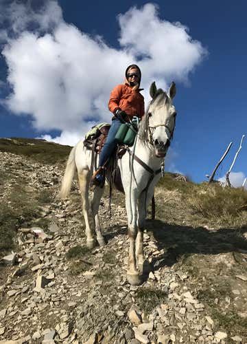 Lezione e passeggiata a cavallo nel Lodigiano