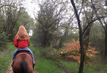 Lezione e passeggiata a cavallo nel Lodigiano