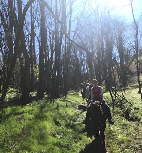 Lezione e passeggiata a cavallo nel Lodigiano