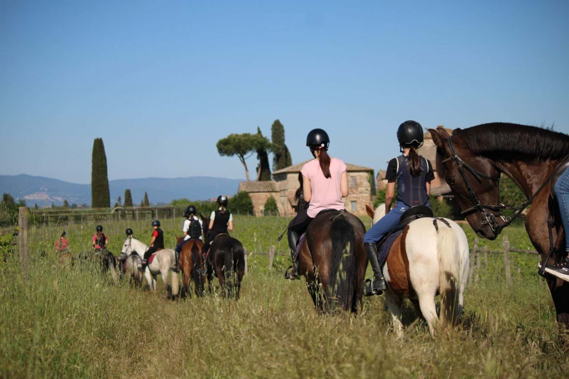 Passeggiate a cavallo Pienza