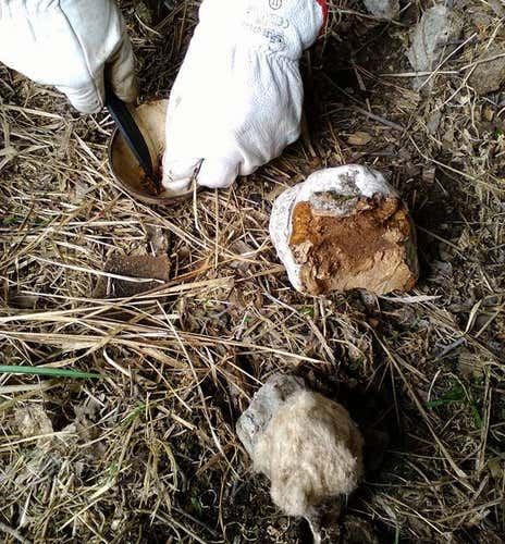 Basic bushcraft course in the Sibillini Mountains
