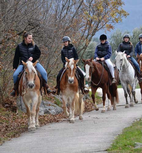 Horseback riding through the apple orchards of Trentino in Bolognano-Vignole
