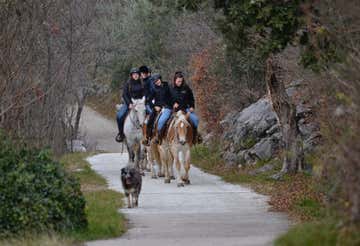 Horseback riding through the apple orchards of Trentino in Bolognano-Vignole