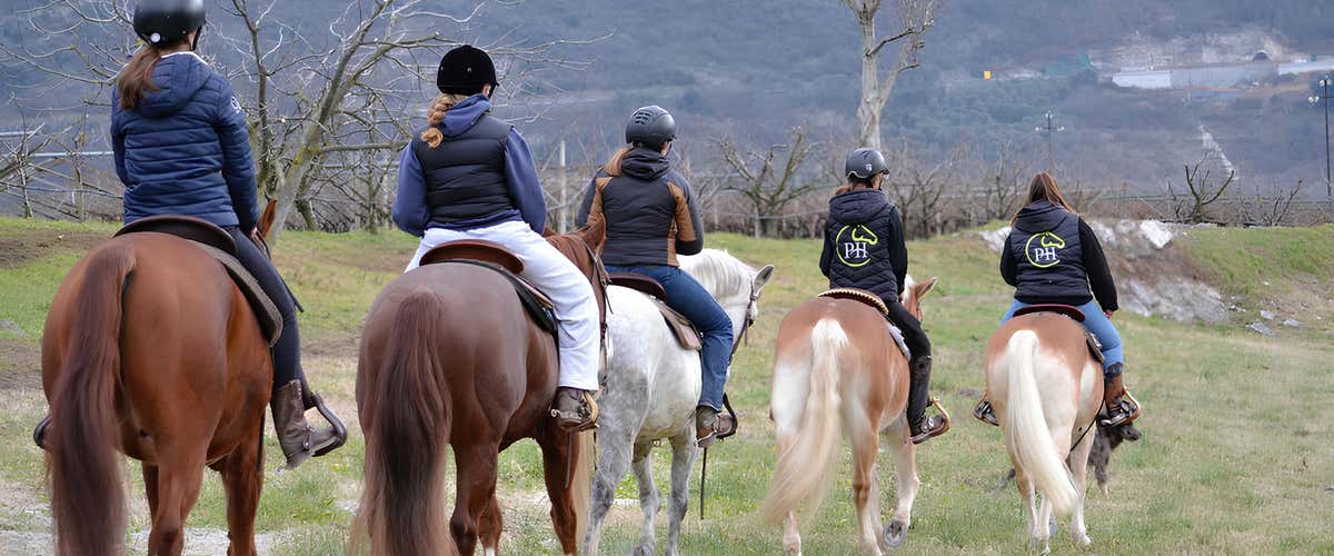 Horseback riding through the apple orchards of Trentino in Bolognano-Vignole