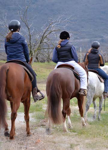 Horseback riding through the apple orchards of Trentino in Bolognano-Vignole