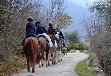 Horseback riding through the apple orchards of Trentino in Bolognano-Vignole