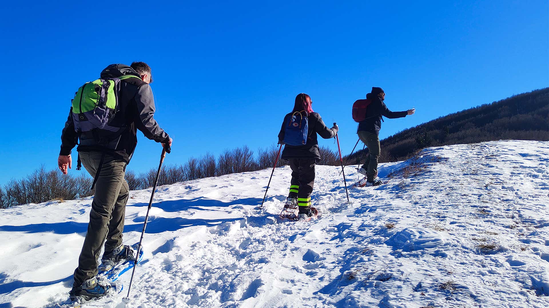 One-day snowshoeing in the Casentinesi Forest National Park Freedome