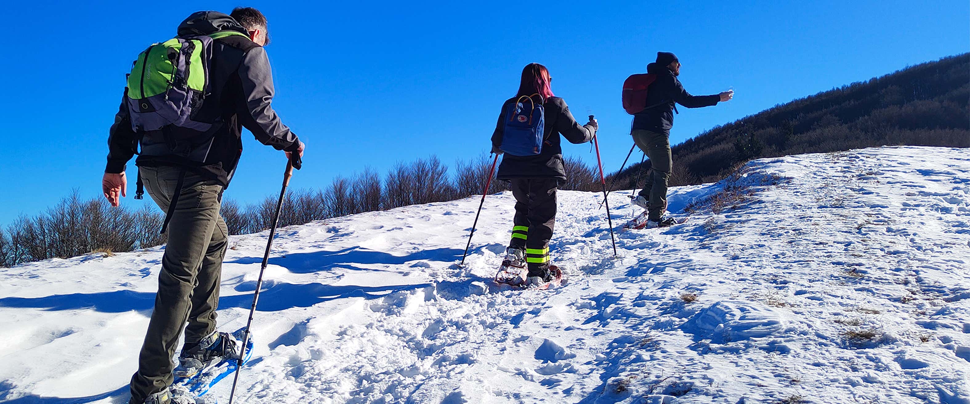 One-day snowshoeing in the Casentinesi Forest National Park Freedome