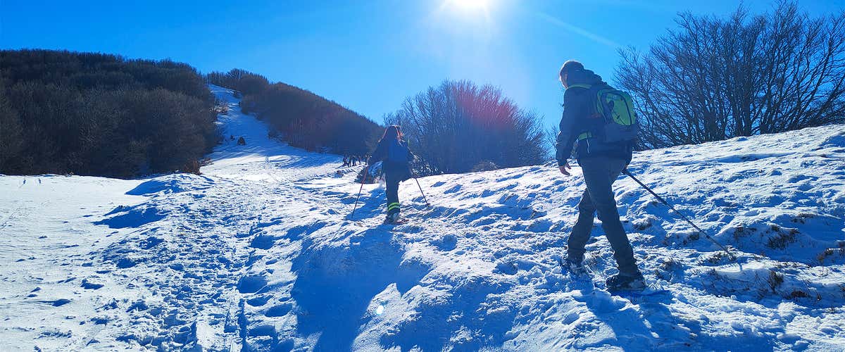 One-day snowshoeing in the Casentinesi Forest National Park