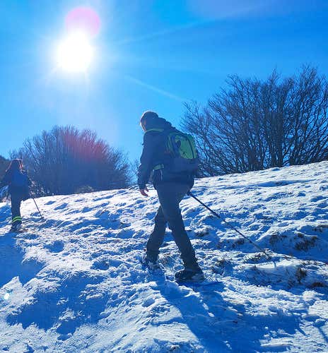 One-day snowshoeing in the Casentinesi Forest National Park