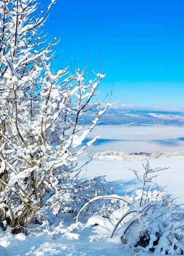 One-day snowshoeing in the Casentinesi Forest National Park
