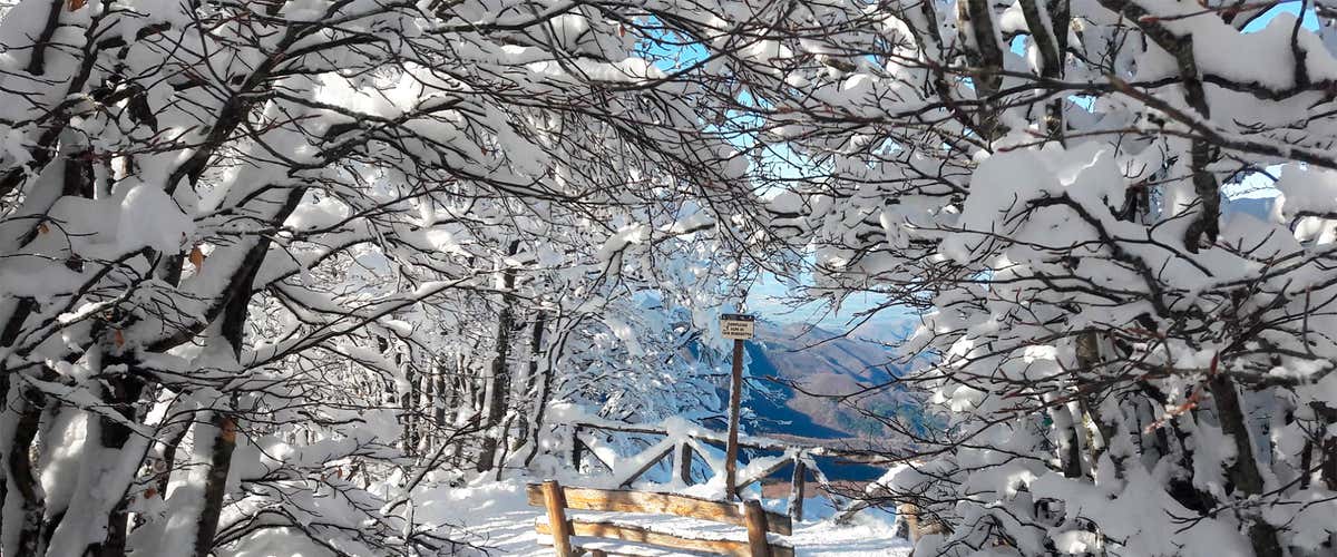 One-day snowshoeing in the Casentinesi Forest National Park