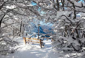 One-day snowshoeing in the Casentinesi Forest National Park