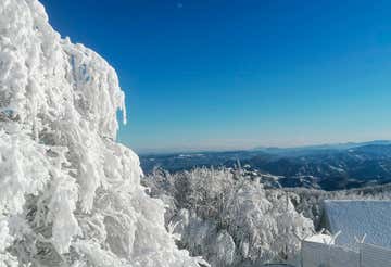 One-day snowshoeing in the Casentinesi Forest National Park