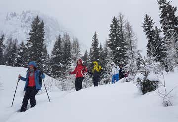 Full Day Snowshoeing in the Fassa Valley