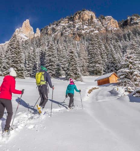 Full Day Snowshoeing in the Fassa Valley
