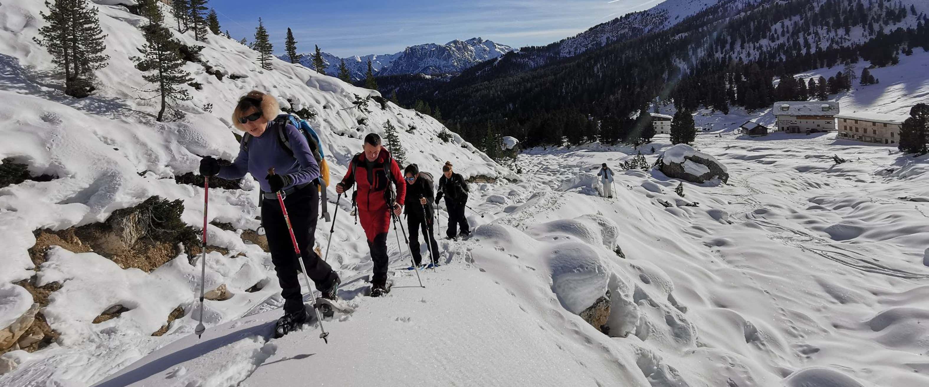 Snowshoe Hike Cheap Snowshoes Near Me Snowshoeing 101: A Guide To