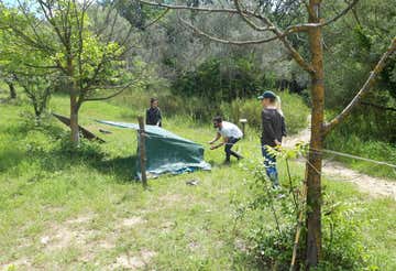 Survival day in provincia di Campobasso