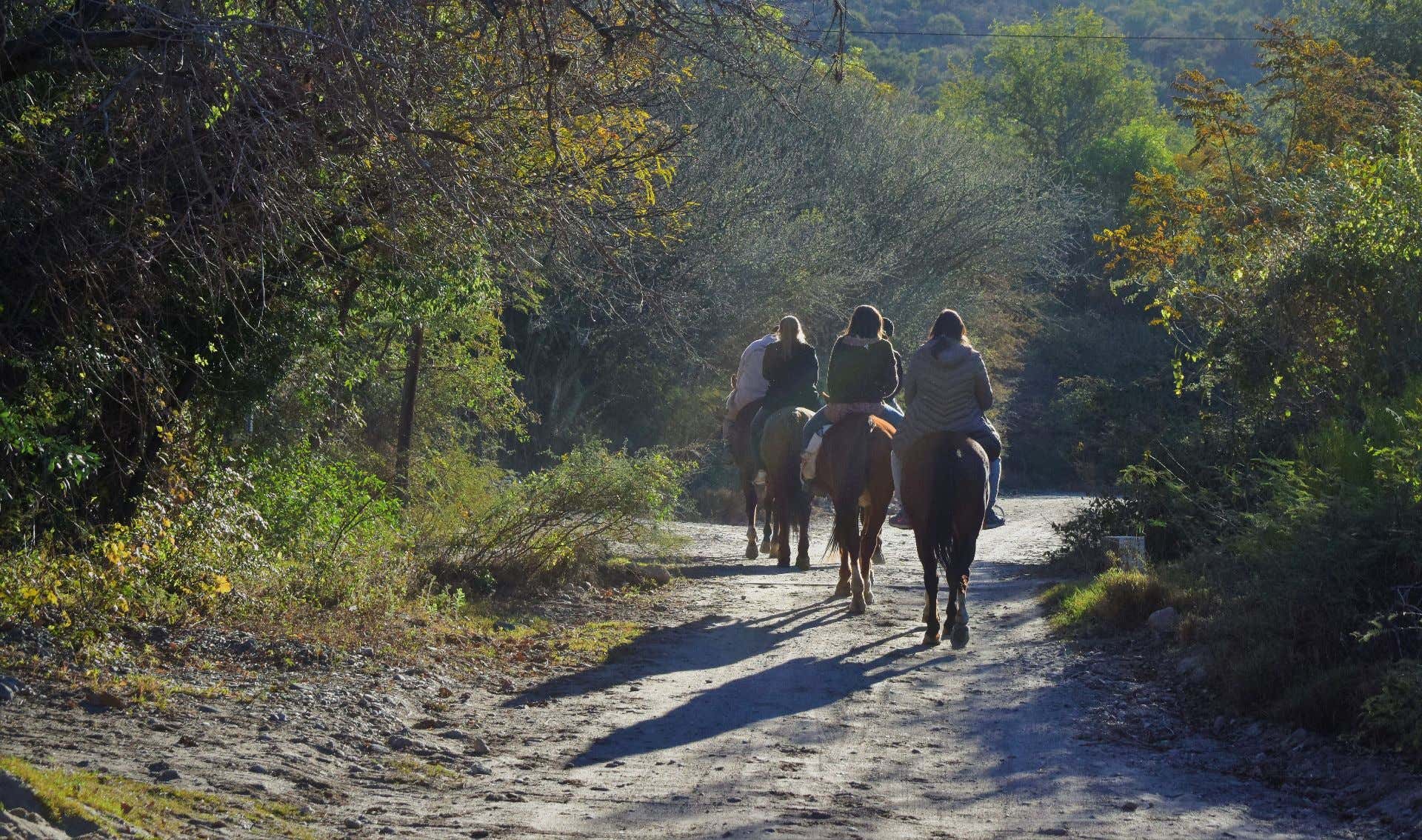 2-hour horse ride in the Alto Garda Bresciano Park