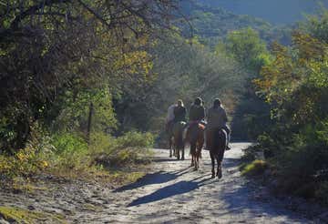 Passeggiata a cavallo di 2 ore nel parco dell'Alto Garda Bresciano