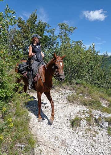 Passeggiata a cavallo di 2 ore nel parco dell'Alto Garda Bresciano