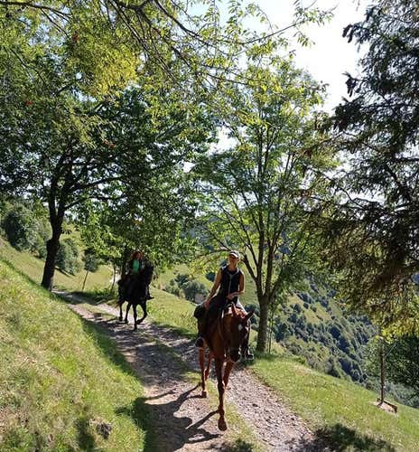 Passeggiata a cavallo di 2 ore nel parco dell'Alto Garda Bresciano