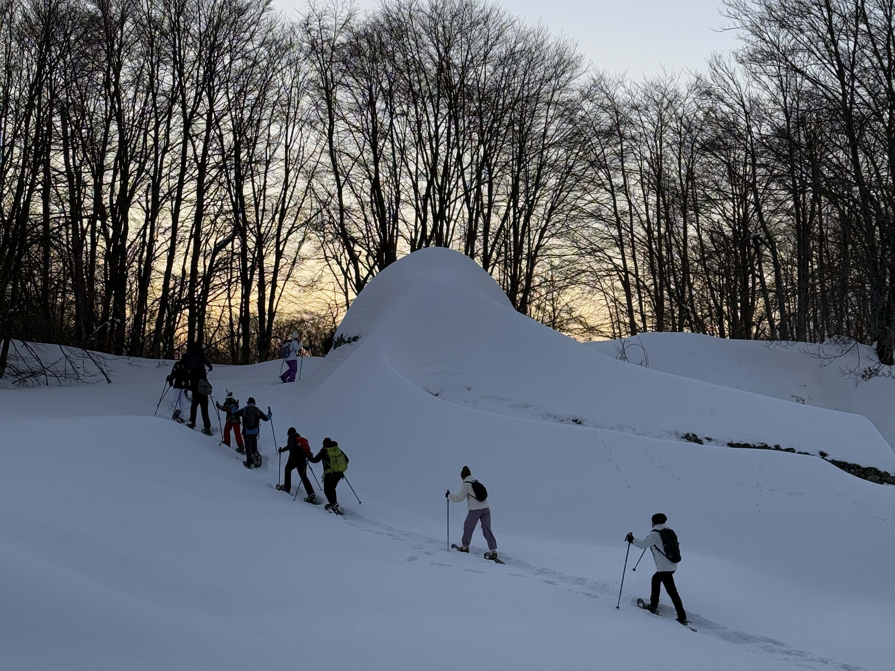 Ciaspolata al tramonto sulla Maiella nel bosco di Passolanciano