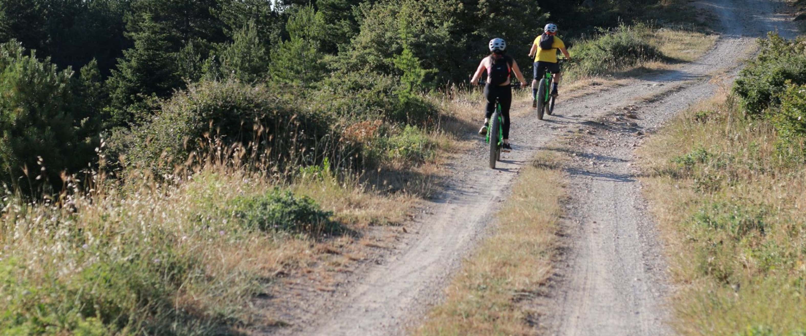 Forest Wakefield Park Mountain Biking Capital Region Thacher Park