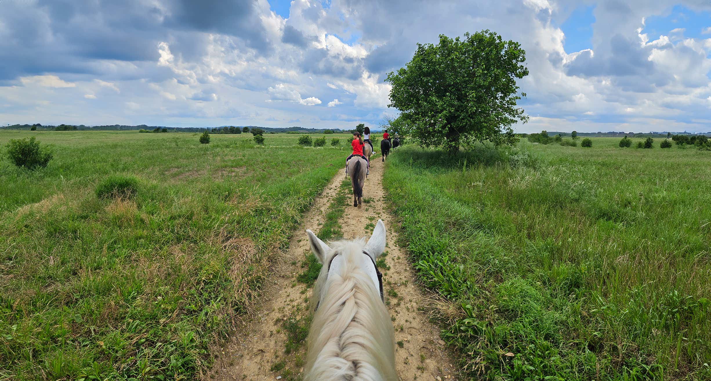Passeggiata a cavallo di 1 ora tra le colline astigiane
