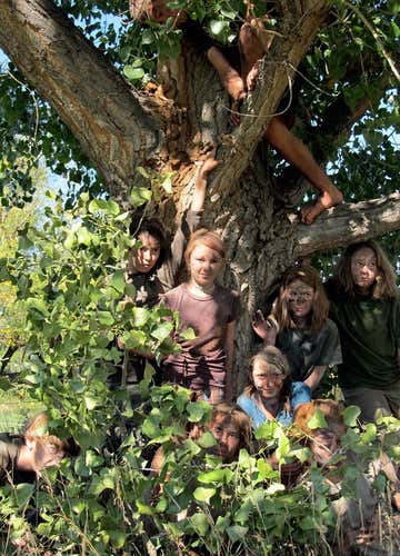 Corso di sopravvivenza tra i boschi di Arona sul Lago Maggiore