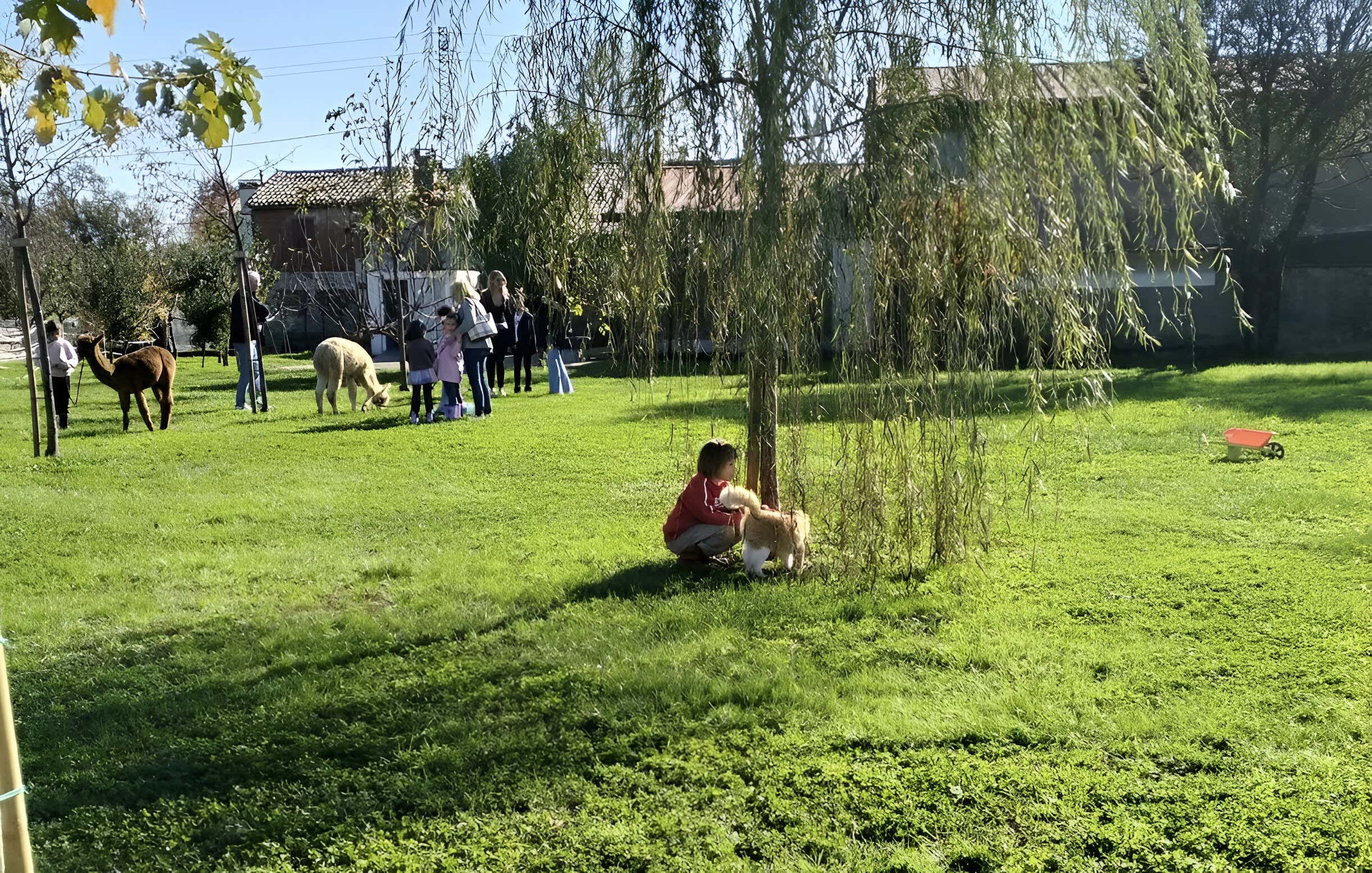 Esperienza per bambini in fattoria in provincia di Vicenza