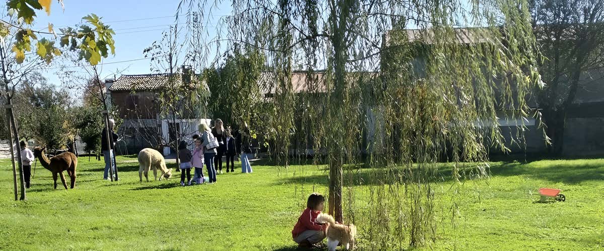 Children's experience on a farm in the province of Vicenza