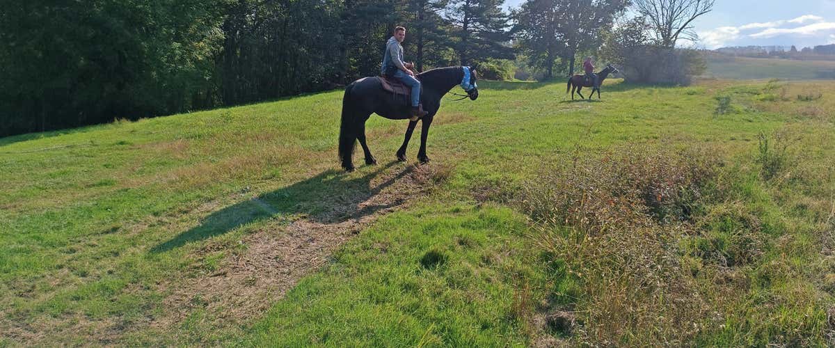 2-hour horseback ride in the Ticino Park