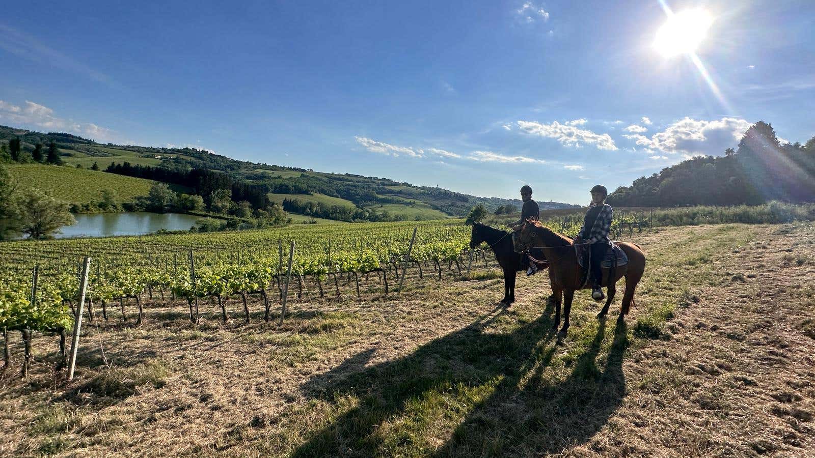 Passeggiata a cavallo di 1 ora e mezza al Lago e Castello di Poppiano