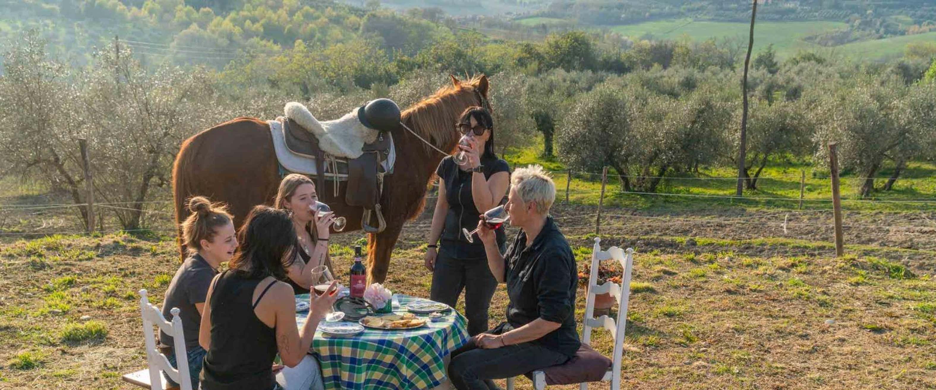 Carta da parati Cavallo al tramonto - su misura Carta da parati Cavallo al tramonto - su misura