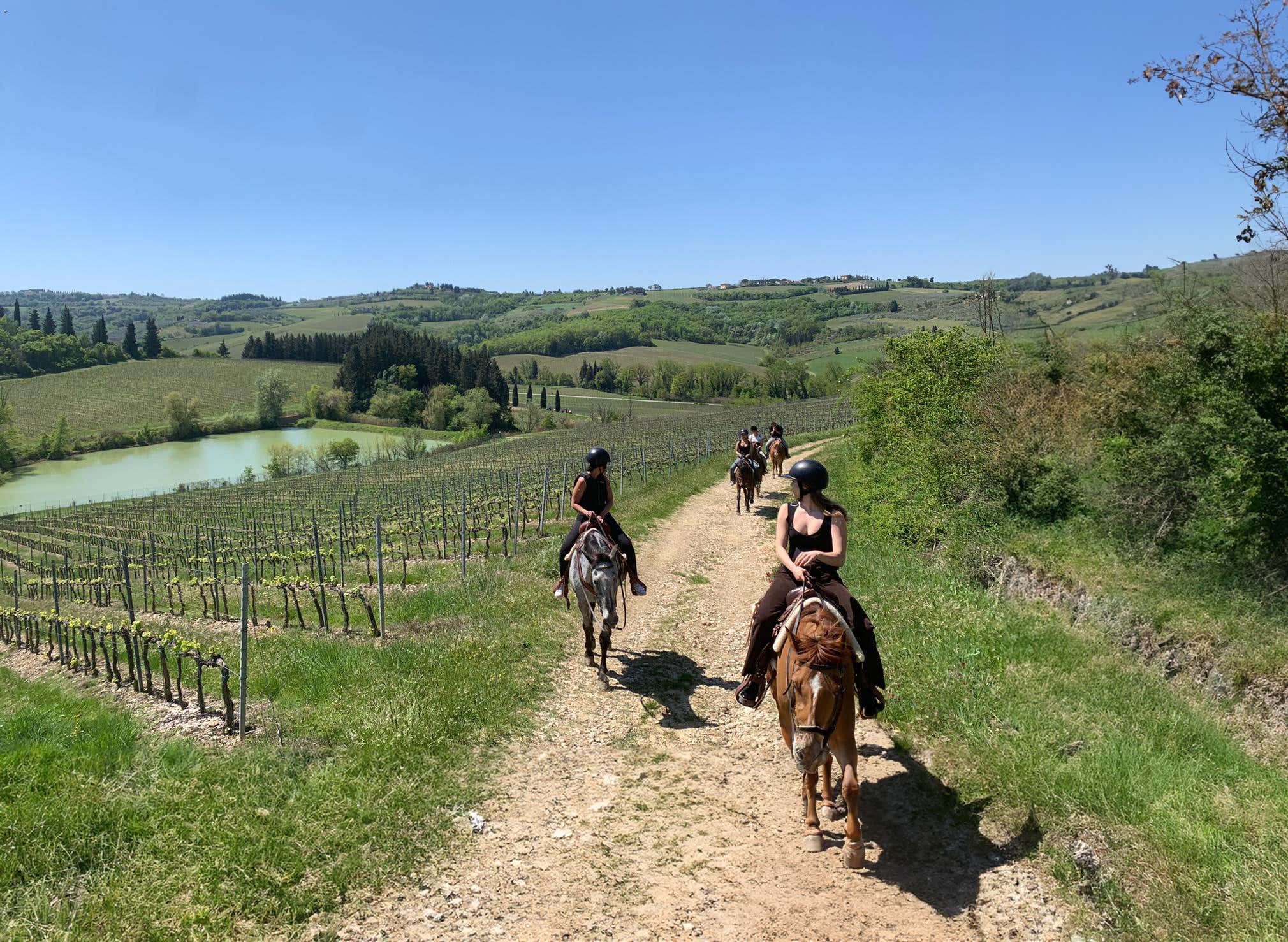 Passeggiata a cavallo di 2 ore tra vigneti e uliveti al Castello di Poppiano