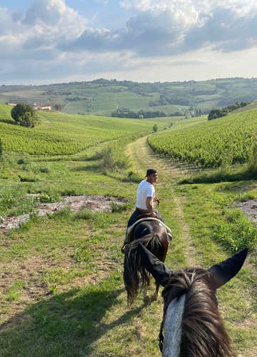 1½-hour horseback ride to Poppiano Lake and Castle