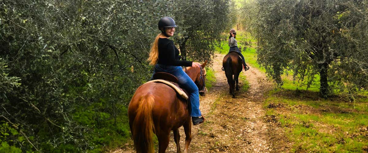Passeggiata a cavallo di un'ora nei boschi di Poppiano vicino Firenze