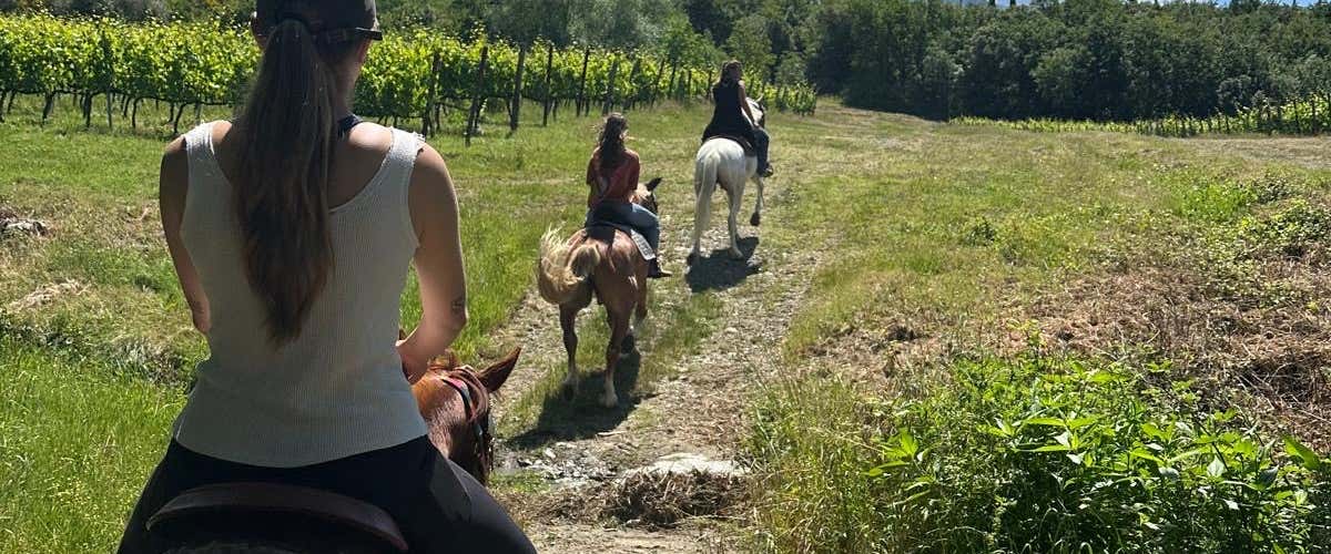 Passeggiata a cavallo, visita in cantina e degustazione vini in provincia di Firenze