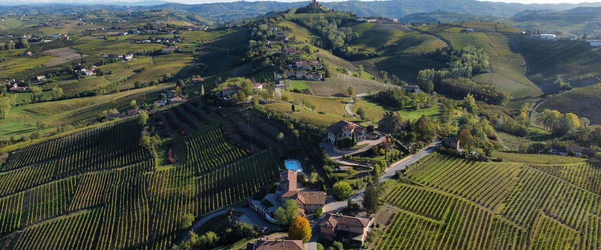 Degustazione vini e visita in cantina a Calosso tra Langhe e Monferrato