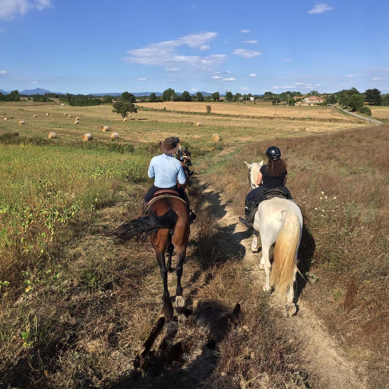 Maglietta Cuore Amore Cavallo - Design Equestre Per Cavalieri E Appassionati - Foto 6
