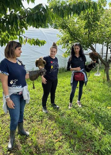 Experience with birds of prey in the province of Piacenza