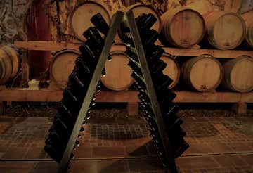 Tasting of 4 wines and visit to winery in Val di Cembra