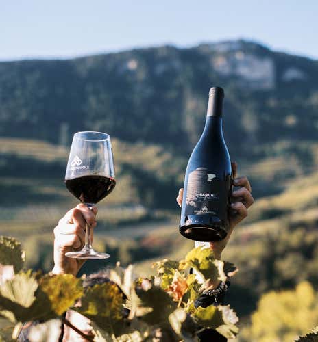 Tasting of 4 wines and visit to winery in Val di Cembra
