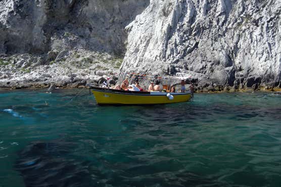 Escursioni in barca Capri 54 tour al miglior prezzo Freedome