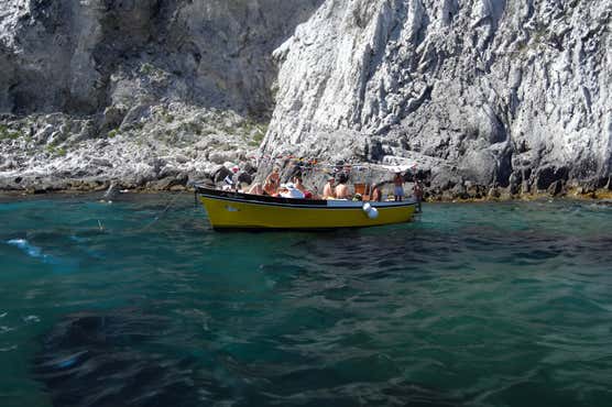 Escursioni in barca Capri 54 tour al miglior prezzo Freedome