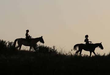 Horse riding under the stars in the Vesuvius National Park