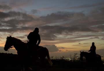 Horse riding under the stars in the Vesuvius National Park
