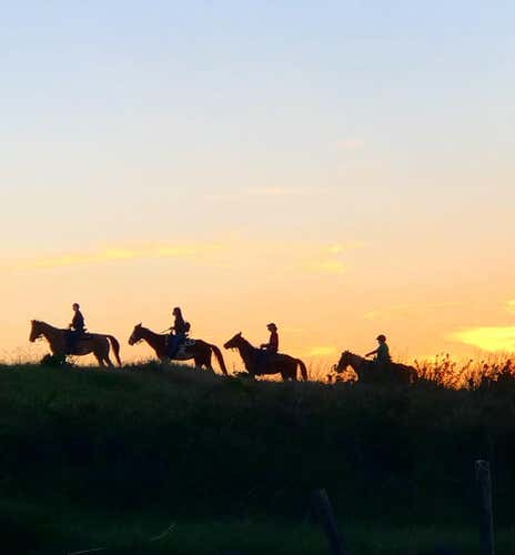 Horse riding under the stars in the Vesuvius National Park