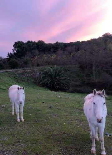 Horse riding under the stars in the Vesuvius National Park